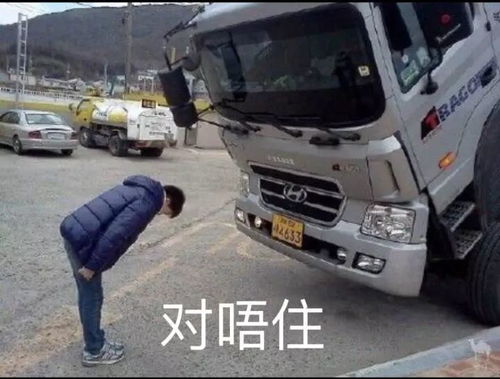 想在你的怀里偷偷gucci