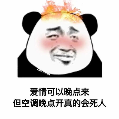 微信可爱聊天表情包这个我能免费看的吗