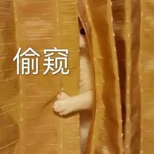 早起和熬夜学习哪个效果好上岸的人怎么说