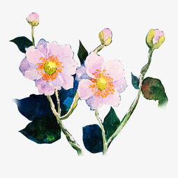 手绘花朵小清新手绘花手绘草水彩花图片素材其他格式下载动漫人物大全