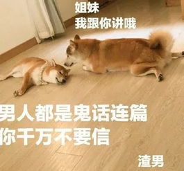 钱的表情包图片搞笑的开心笑话