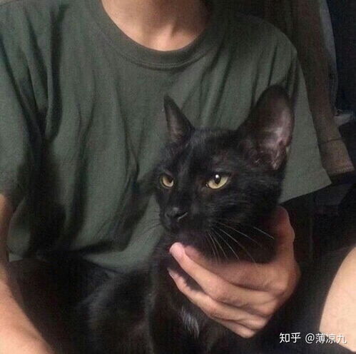 好看的快穿耽美文推荐一