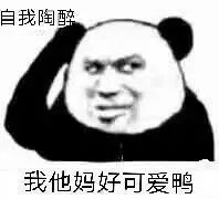 表情包丨今日份的快乐源泉