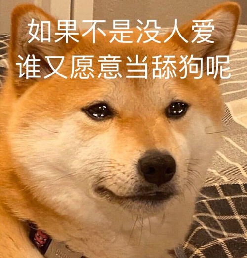搞笑狗表情包表情