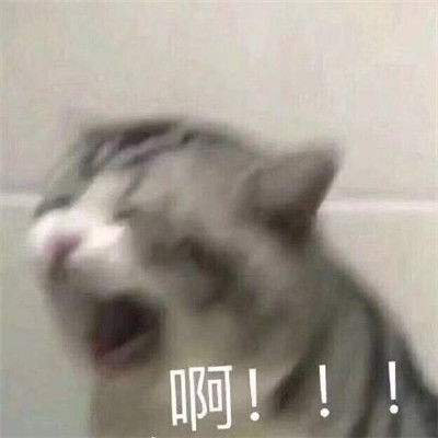 道歉表情包搞笑认错