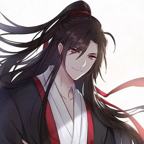 魔道祖师动漫头像魏无羡蓝忘机