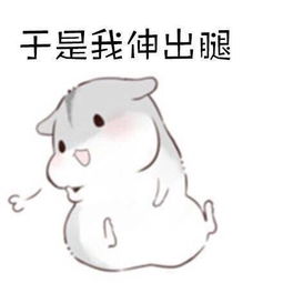 装完比就跑表情包