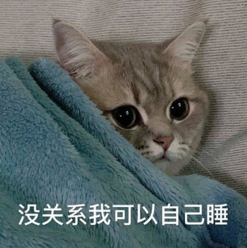 有没有让人笑的停不下来的幽默文案