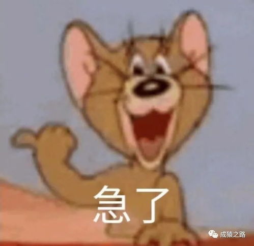 520都准备好了吗送大家一些金句,进来看看吧