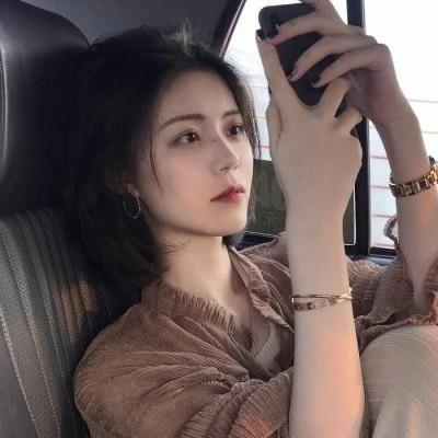 返程是什么意思