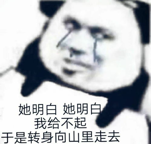 沙雕熊猫头表情包日常更新5