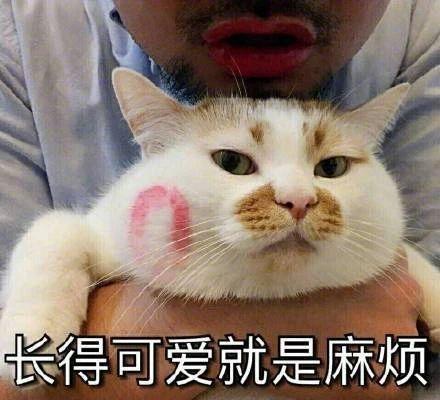 本来这活是我一个人干的,结果你一掺和就搞砸了