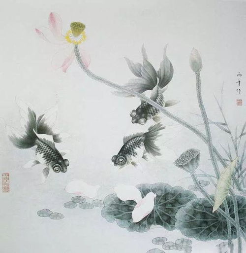 国画金鱼的画法