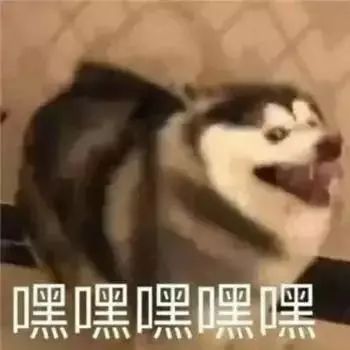 装蒜