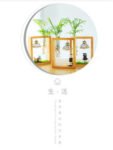 懒人园艺水培植物绿萝办公室内桌面现代简约带灯卡通创意摆件文艺生日礼物
