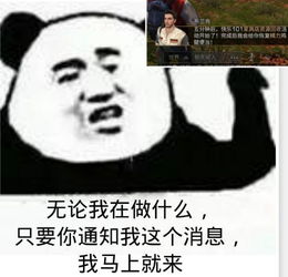 一夜之间,学校里的树全没了,只因校长想