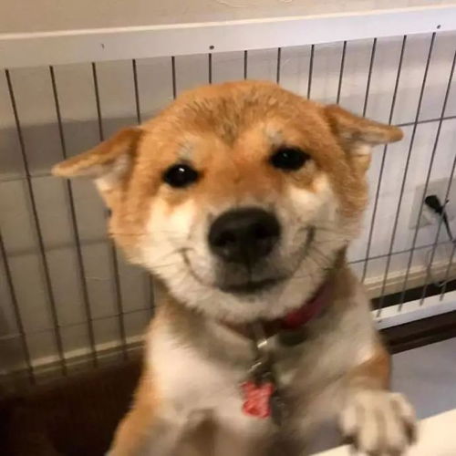 没用的东西就早点丢掉