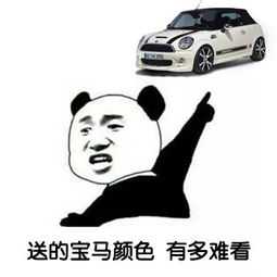 抖音视频表情包i女孩子其实就喜欢这种平平淡淡的爱情