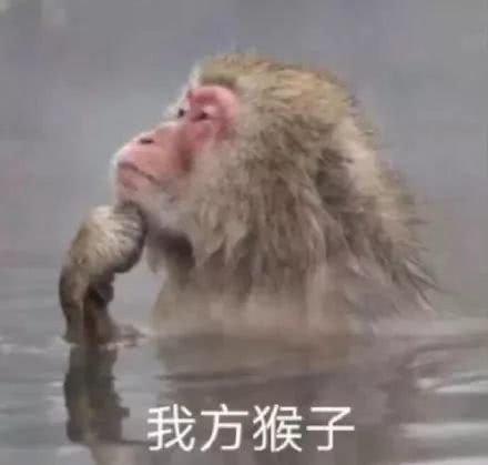 搞笑游戏中的敌方我方对比,我可能玩了假王者荣耀表情包