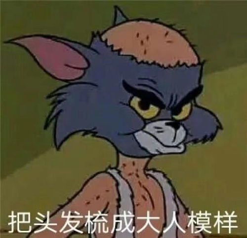 年轻人该不该去大城市闯荡