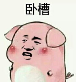 变猪喷雾表情包完整版