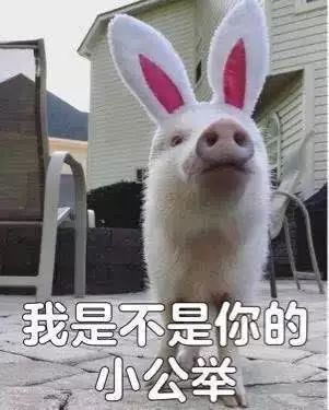 肌肤补水旺季,贴片式补水面膜征服你