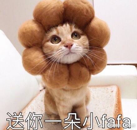 卡通情侣头像猫情头