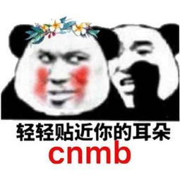 抖音热门斗图表情包分享