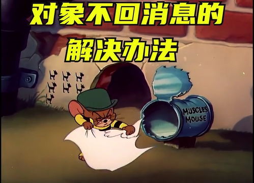 搞笑动态图表情包下载猫和老鼠