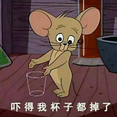 斗图表情包等本仙敷完面膜在怼你