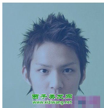 男生短发刺猬头发型图片另类气息十足