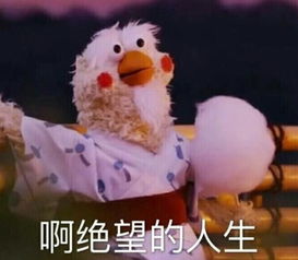 新闻哥夫妻以5万卖掉儿子花完钱再报警找回,算盘打得精啊
