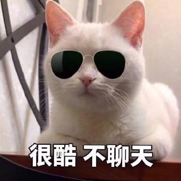 有没有什么沙雕且脱俗的文案