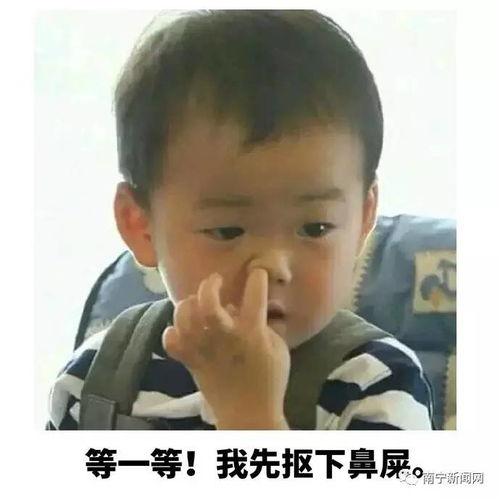 注意了北大路20日起大修,未来八个月不想被堵成汪汪最好这样走