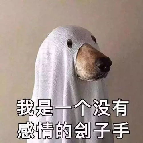 金毛犬被主人抛弃,跨越千里,千辛万苦寻到主人,然后咬了他一口报仇
