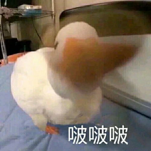 有没有给女朋友亲亲的表情包