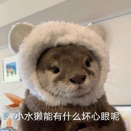热门沙雕表情包坏心眼第九十三期