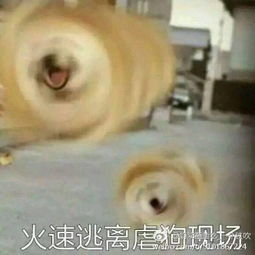 面对女朋友的突然撒娇,男朋友们只想用小拳拳打死自己
