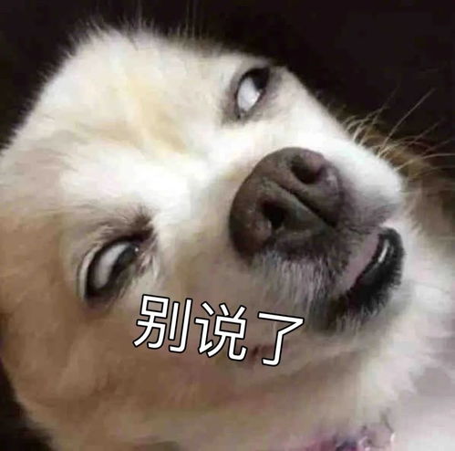 至暗时刻,显卡销量腰斩,nvidia提前掏出2000元档4060救场