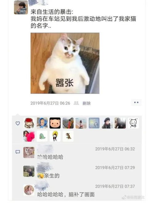 轻松一刻高考要多少分,才能开上这个车
