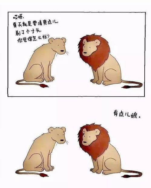 冬日渐冷,让治愈系漫画来温暖你