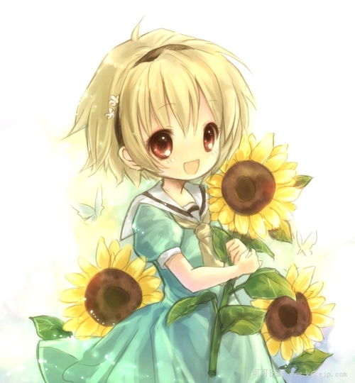 梦见