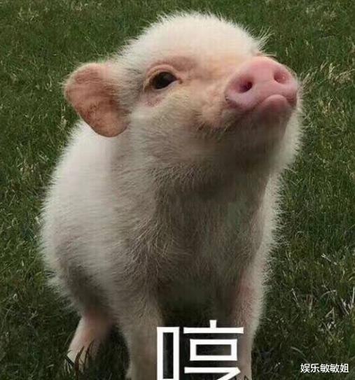 大家帮忙看一下,我家狗子怎么了...哈哈是不是熬夜太久了
