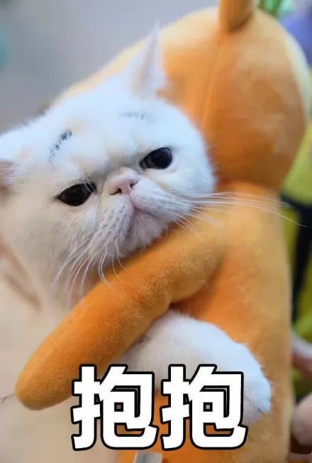 表情包你在吃什么有我的吗
