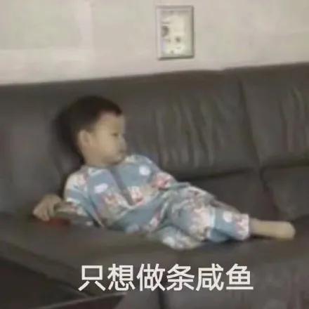 幽默搞笑表情包小姑娘,这么晚还不睡