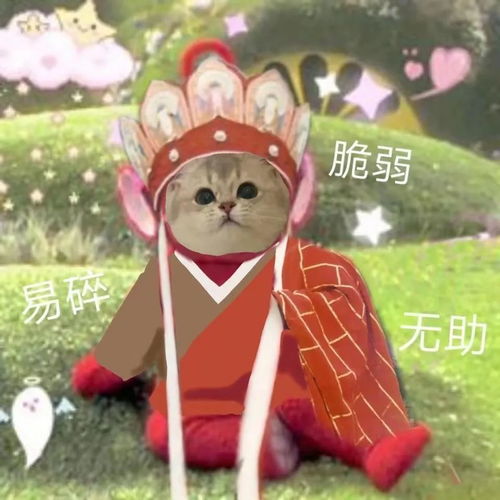 沙雕表情包生吃个人我很抱歉