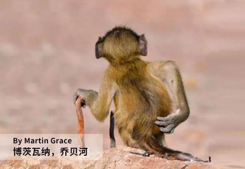 不要让它们消失于世界之后,才明白如何去爱