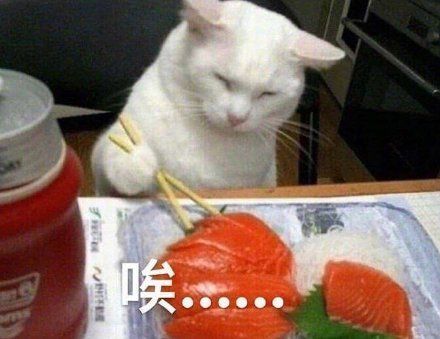 一组可爱搞笑的表情包动图片