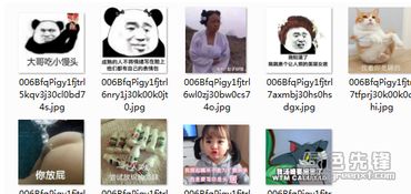 骂人表情包搞笑图片生气