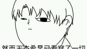 全职高手有声小说第一卷第八十五章包子入侵